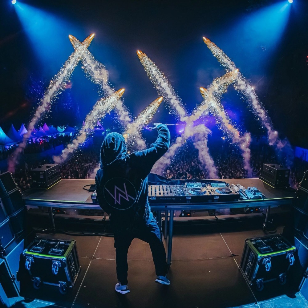 Alan Walker EDM Compilation CD - Audio Music Cd reseña y precio